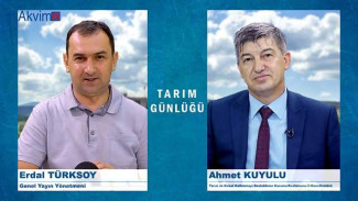 yeni web sitesi